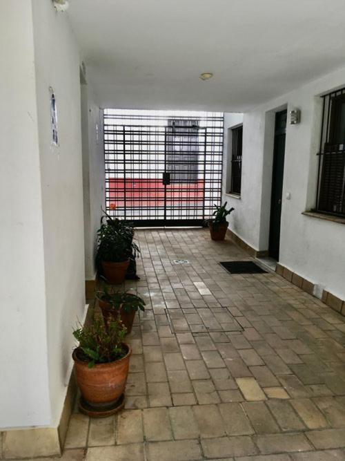 La Terraza Azul Apartment Seville Luaran gambar